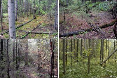 Sheltering Role of Well-Decayed Conifer Logs for Forest Floor Fungi in Long-Term Polluted Boreal Forests